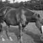 Michele Long Photo 24