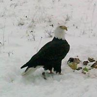 Julia Dodson Photo 26