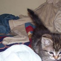 Carol Lacy Photo 17