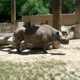 Curt Fowler Photo 25