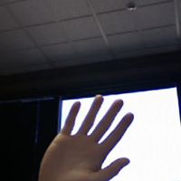 David Bloomberg Photo 20