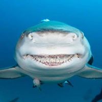 Russell Quick Photo 5