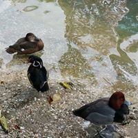 Suzanne Trimble Photo 24 Suzanne Trimble Photo 24