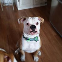 Rick Mccormick Photo 38