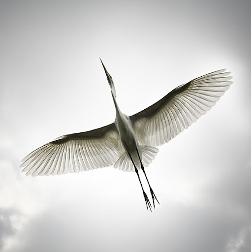 Janet Chilton Photo 3