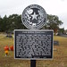 William Knoll Photo 13
