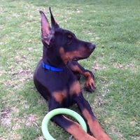 Bridget Guy Photo 10