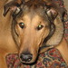 Larry Conner Photo 45