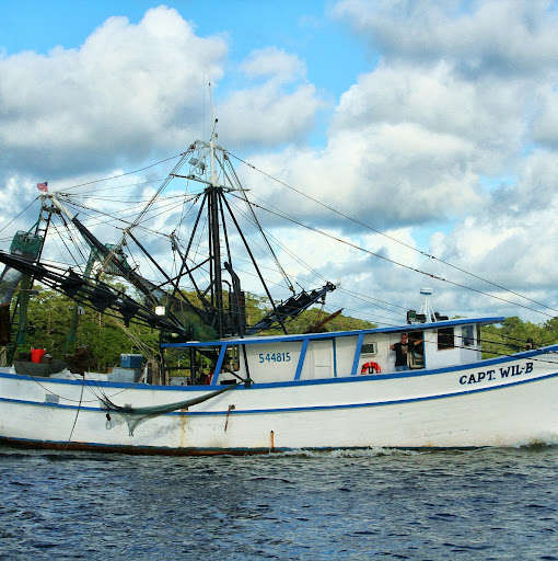 Robert Davenport Photo 16