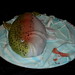 Debbie Trout Photo 41