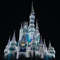 Jennifer Forehand Photo 24