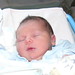 June Bailey Photo 3