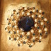 Judy White Photo 8