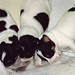 Archie Dempsey Photo 9