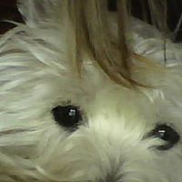 Joseph Houston Photo 12