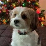 Vickie Watkins Photo 31