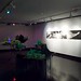 David Waddell Photo 18