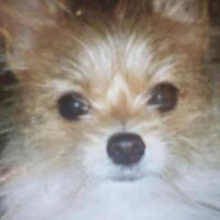 Martha Cunningham Photo 9