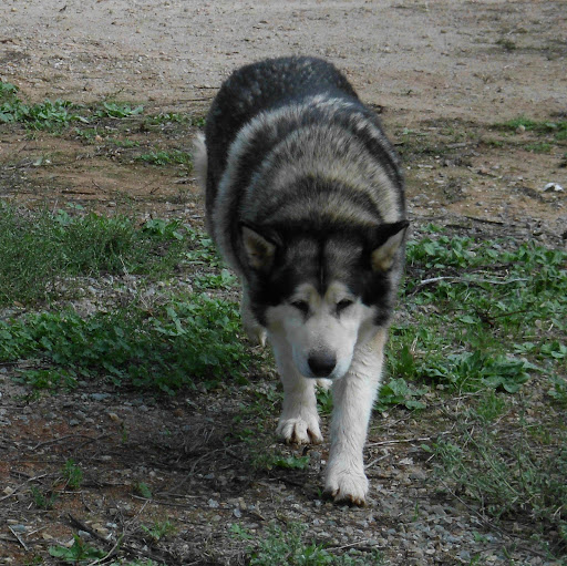Donna Thomson Photo 29