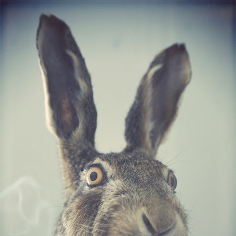 Daniel Proulx Photo 17