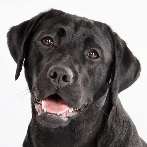 Thomas Henning Photo 28