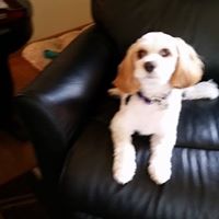 Ruth Dowling Photo 7