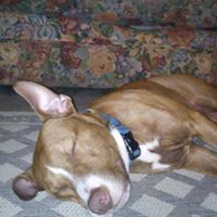 Shawn Newland Photo 20