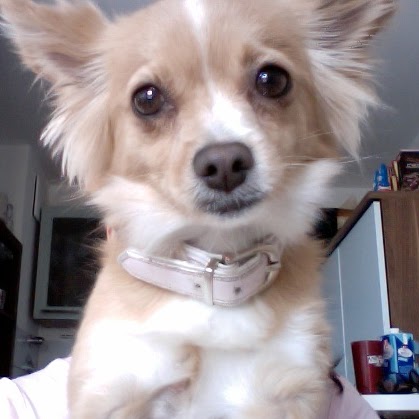 Sara Kauffman Photo 8