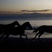 Dawn Rodgers Photo 18