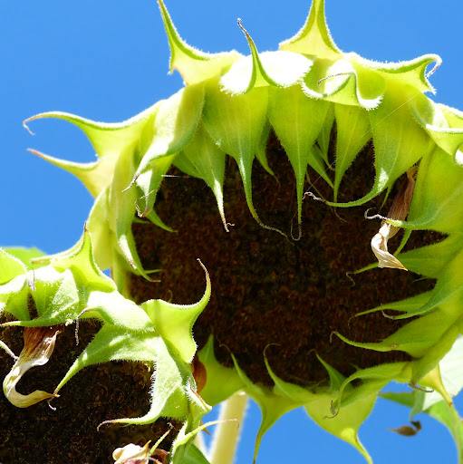 Nancy Logan Photo 37