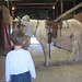 Diane Braden Photo 12