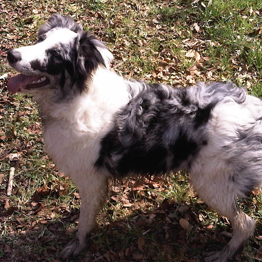 Alison Gilbert Photo 11