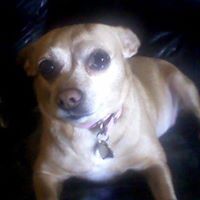 Pamela Vogt Photo 11