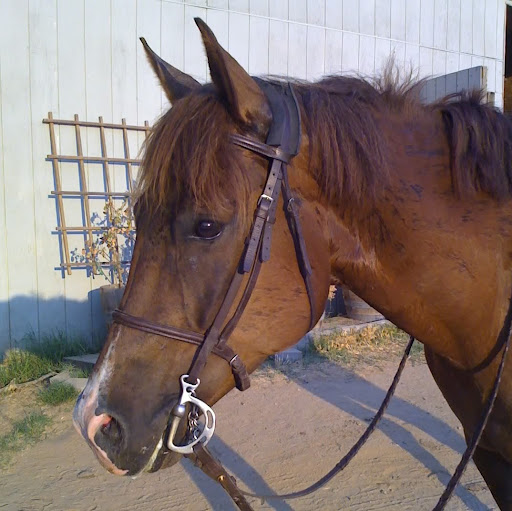 Michelle Coyle Photo 15