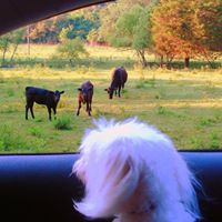 Danny Whitaker Photo 18