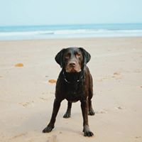 Susan Hooley Photo 2