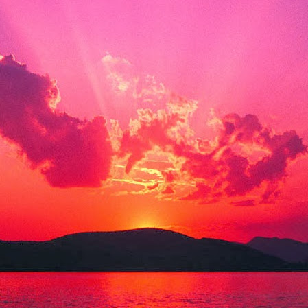 Concepcion Alvarado Photo 8