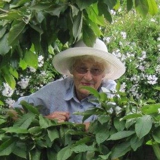 Nancy Hawkins Photo 18