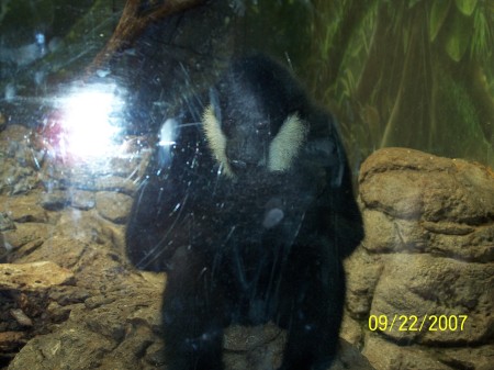 Colleen Kirby Photo 23