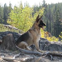 Trudy Johnston Photo 4