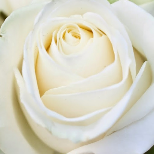 Laura Adrian Photo 5