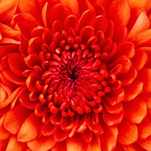 Timothy David Photo 37