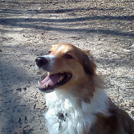 Joanne Roberson Photo 6