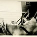 Margie Jenkins Photo 10