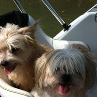 Bobby Mathews Photo 40