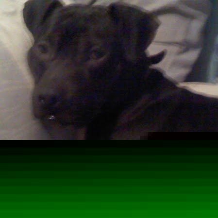 Sarah Waite Photo 35