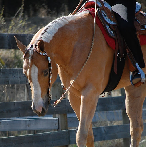 Deb Richards Photo 16