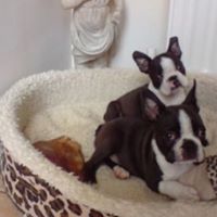 Keith Sharpe Photo 16