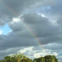 Donna Kemper Photo 19