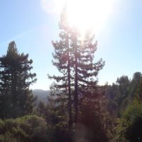 Stephen Cornell Photo 22 Stephen Cornell Photo 22